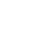 liners liners